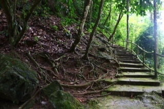 image4.JPG