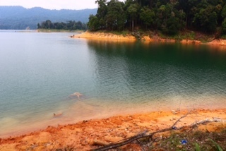 image5.JPG